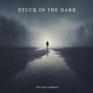 Stuck In The Dark - Peyton Parrish