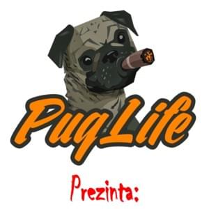 PugLife Prezinta: Neli - PugLife Entertainment (Ft. NELI THGOD)