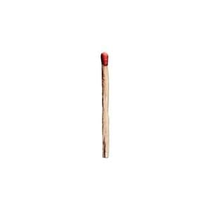 Rammstein - SEX (English Translation) - Lyrxo English Translations