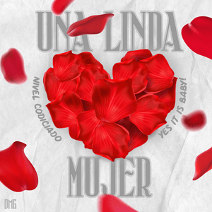 Una Linda Mujer - Nivel