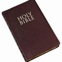 Mark 1 - Holy Bible (KJV)