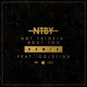 Not Thinkin’ Bout You (Remix) - Ruel (Ft. GoldLink)