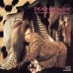 The Stranger - Dead or Alive