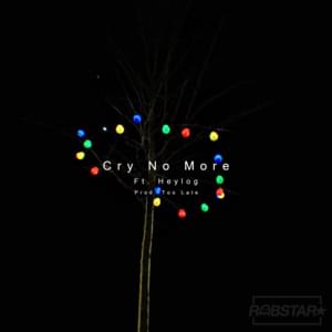 Cry No More - Robstar & heylog