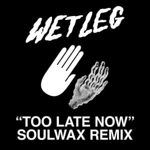 Too Late Now (Soulwax Remix) - Wet Leg (Ft. Soulwax)