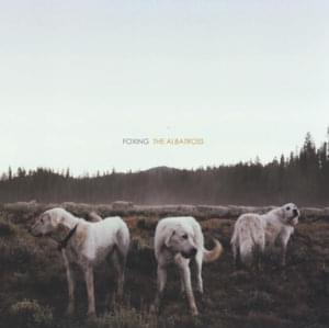 Inuit - Foxing