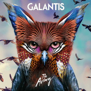 Tell Me You Love Me - Galantis & Throttle