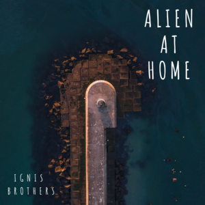 Alien at Home - Ignis Brothers