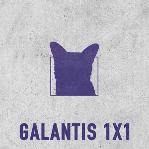 1x1 - Galantis