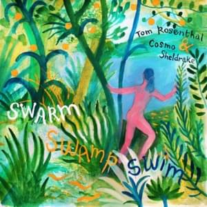 Swarm Swamp Swim - Tom Rosenthal & Cosmo Sheldrake