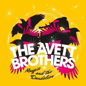 Skin And Bones - The Avett Brothers