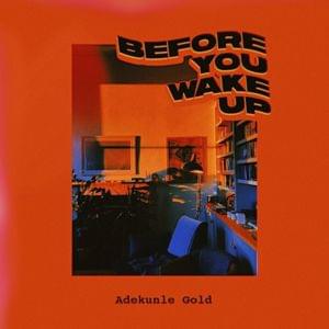 Before You Wake Up - Adekunle Gold