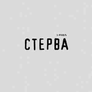 Стерва (Bitch) - 3-ий Январь (3rd of January)