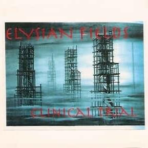 Moth - Elysian Fields