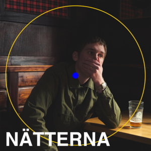 Nätterna - Thomas Stenström