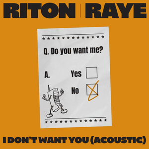 I Don’t Want You (Acoustic) - Riton & RAYE