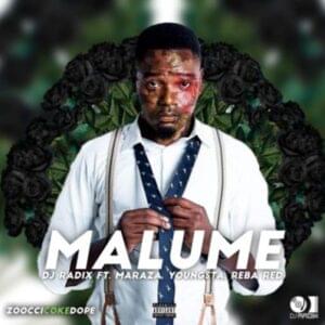 Malume - DJ Radix (Ft. Maraza, Reba Red & YoungstaCPT)