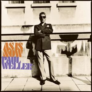 The Pebble and the Boy - Paul Weller