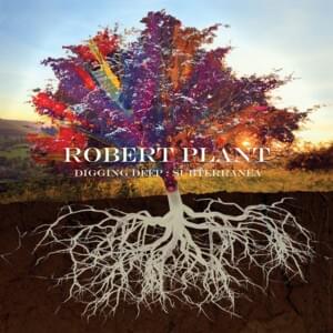 Hurting Kind - Robert Plant