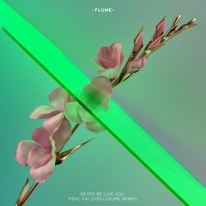 Never Be Like You (Disclosure Remix) - Flume (Ft. ​kai)