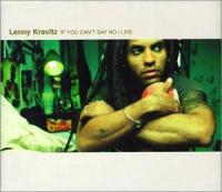 If You Can’t Say No - Lenny Kravitz