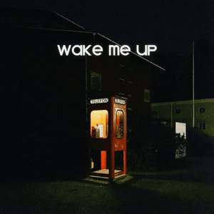 Wake Me Up - ​aleemrk & Jokhay