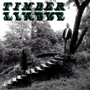 No Bold Villain - Timber Timbre