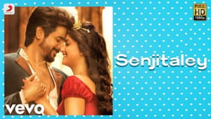 Senjitaley - Anirudh Ravichander