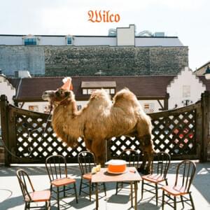 Country Disappeared - Wilco