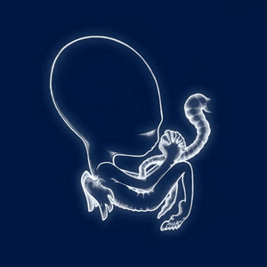 Ágætis byrjun - Sigur Rós