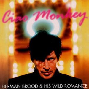 When I Get Home - Herman Brood & His Wild Romance