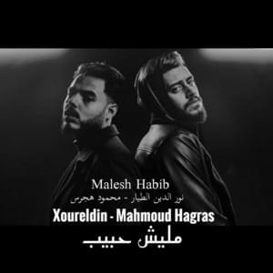 Malesh Habib - مليش حبيب - Xoureldin - نور الدين الطيار