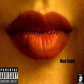 Nobody’s Perfect - Mad Sadiq