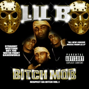 Salute to the Bitch - Lil B