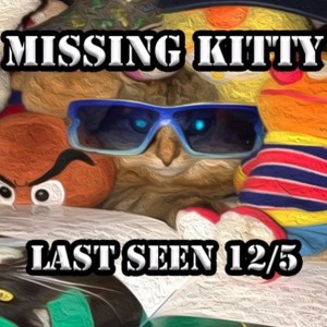 Missing Kitty - Kreayshawn