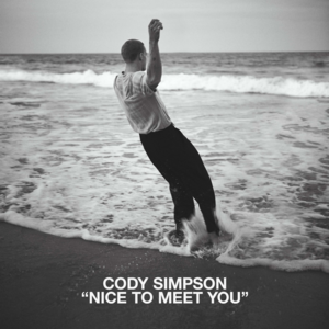 Nice To Meet You - Cody Simpson