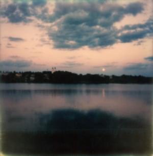 All The Wine - Alina Orlova