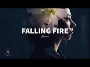 Falling Fire - Forester