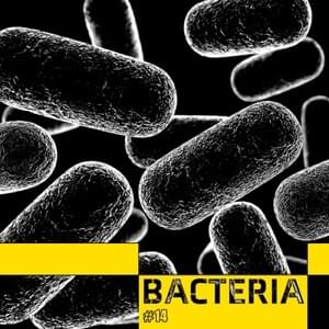 Bacteria - Boy George (Ft. Adam Lambert)