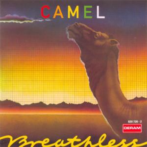 Summer Lightning - Camel