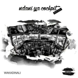 Usini udhii - Wakadinali