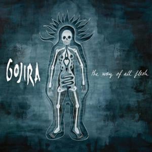 Esoteric Surgery - Gojira