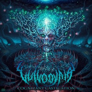 The Oppressor Unseen - Vulvodynia