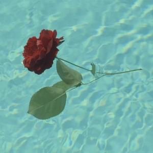 A Rose... - Ben L'Oncle Soul