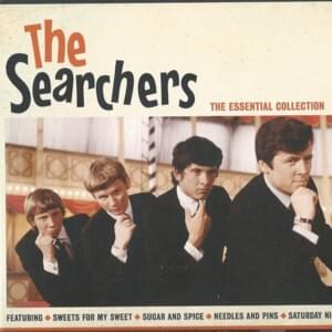 Have You Ever Loved Somebody - The Searchers