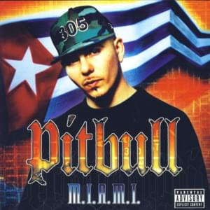 Hustler’s Withdrawal - Pitbull