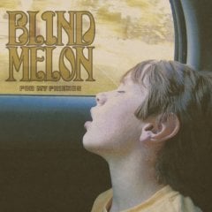 With The Right Set Of Eyes - Blind Melon