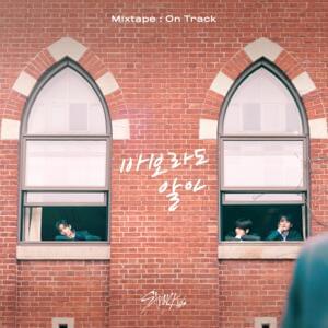 바보라도 알아 - Mixtape : On Track - Stray Kids