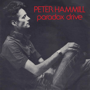 Now More Than Ever (Single Version) - Peter Hammill