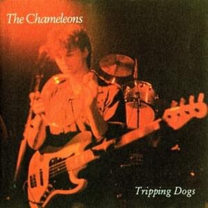 Bobby Moore’s Wine - The Chameleons